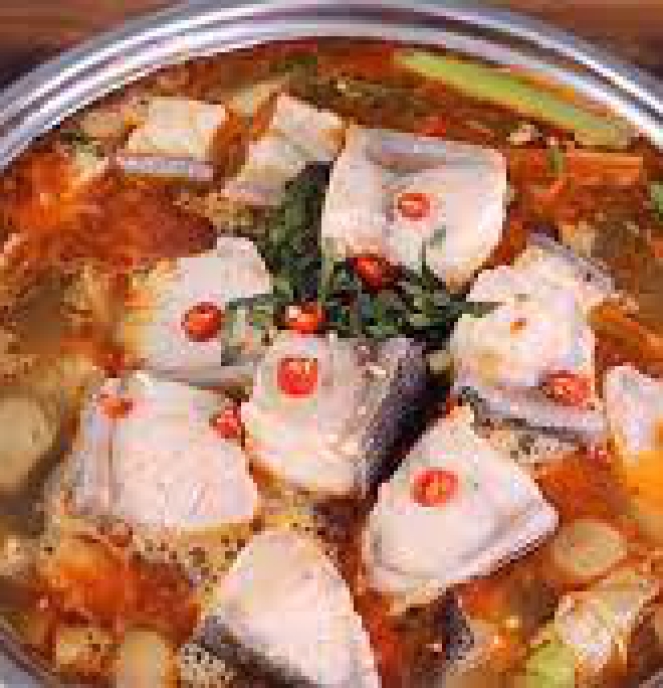 lẩu cá bớp 